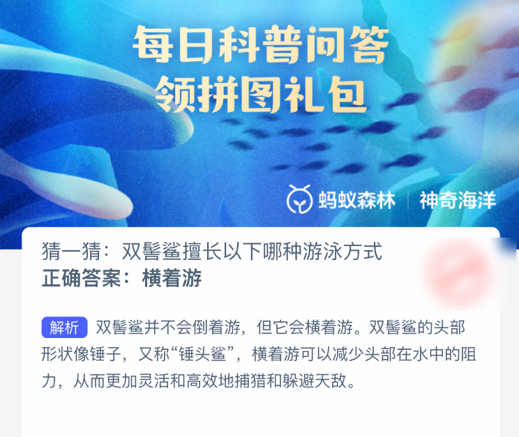 雙髻鯊擅長哪種游泳方式？神奇海洋今日答案-景澄手游網